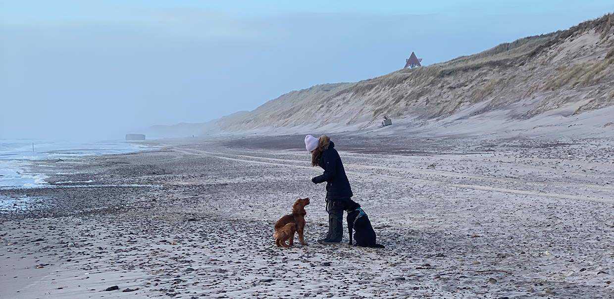 Urlaub mit Hunde an der dänischen Nordsee