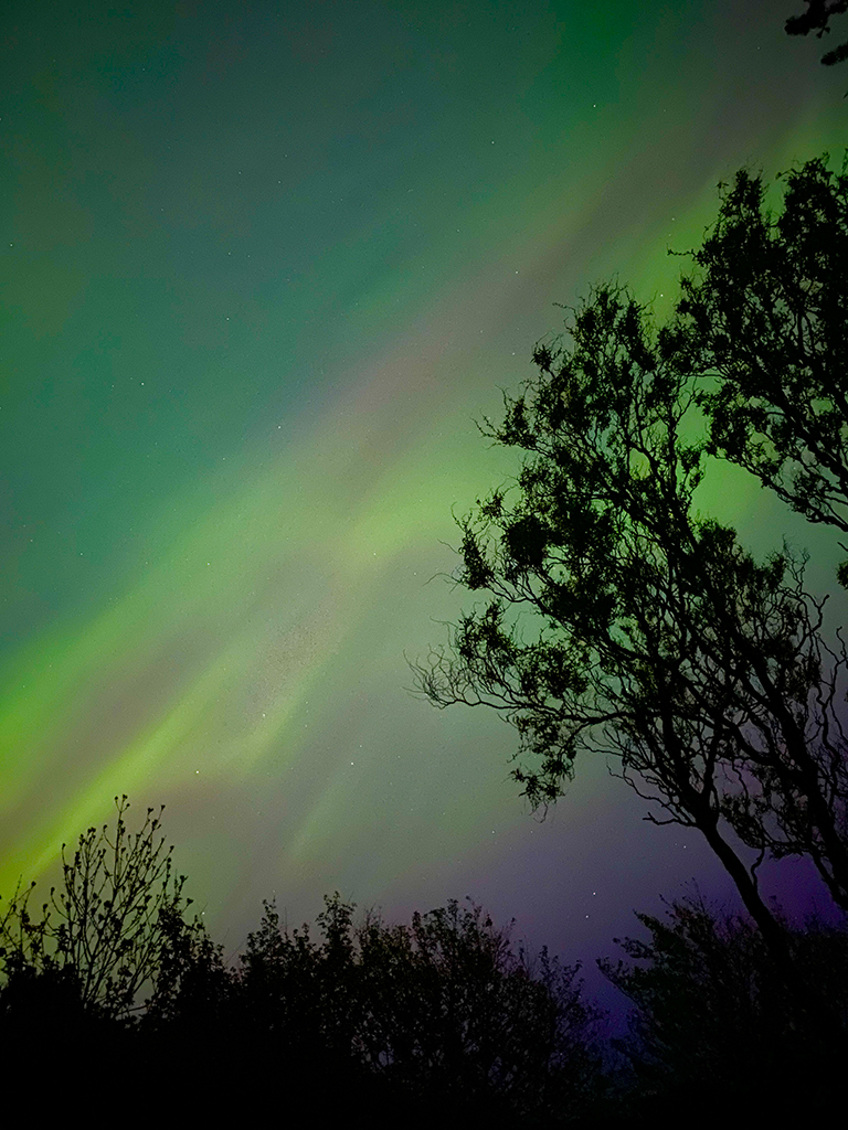 Overhead Aurora in Dänemark