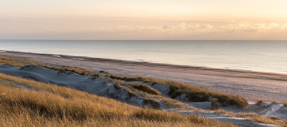 argab strand 104839 Image